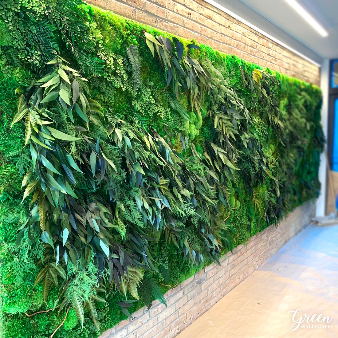 Embracing Biophilic Design: Bringing Nature into Your Living Space