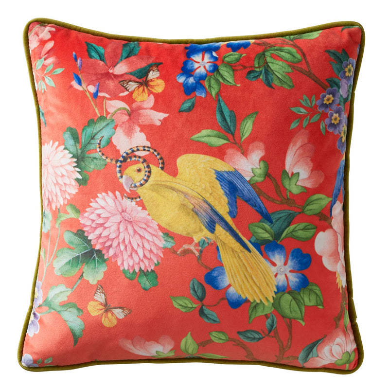Golden Parrot Coral Cushion